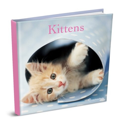 Kittens rachael hale - 1,