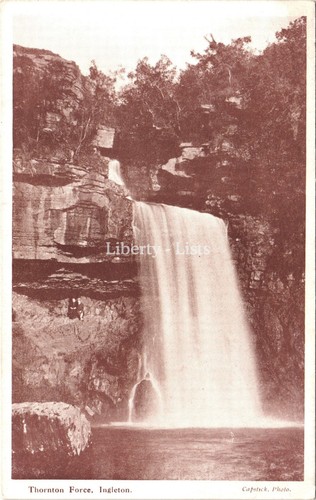 Thornton force ingleton - force,