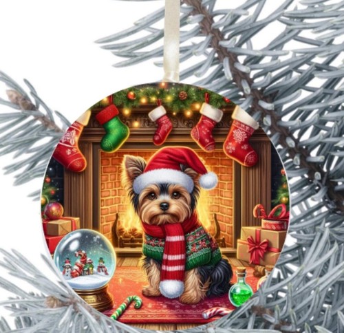 Yorkshire terrier dog hanging - yorkshire,