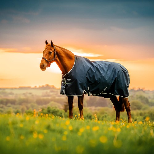 Horseware amigo ripstop 900d - ripstop,