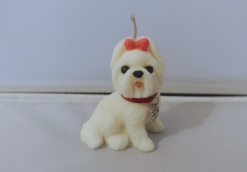 Cute little maltese puppy - little,