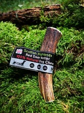Scottish Red Deer Antler Dog