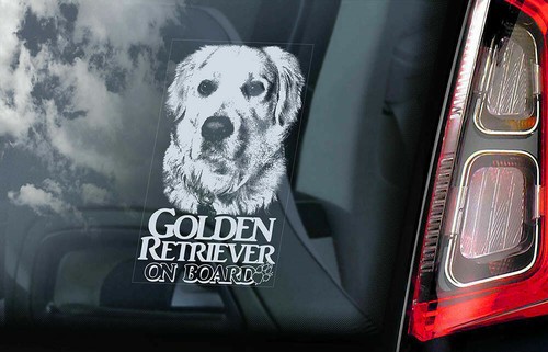 Golden retriever car sticker - car,