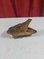 Vintage Taxidermy Small Pike Fish Head
