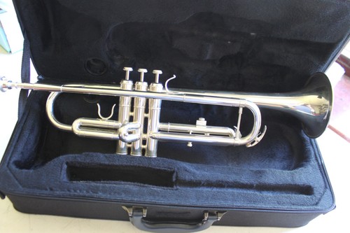Michael trumpet tr300 - michael,