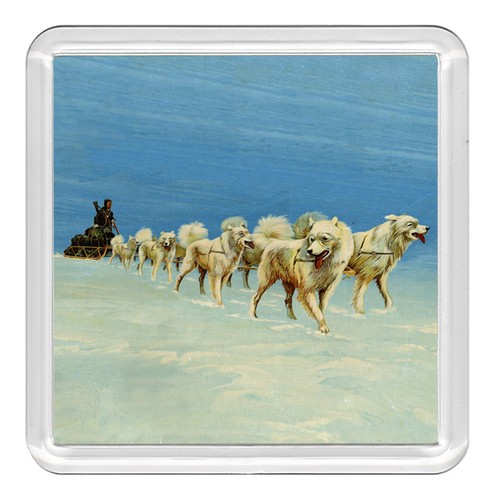 Samoyed dog acrylic coaster - acrylic,