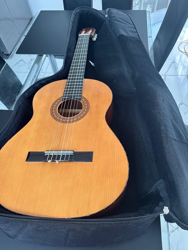 Hohner acoustic guitar - hohner, guitar.
