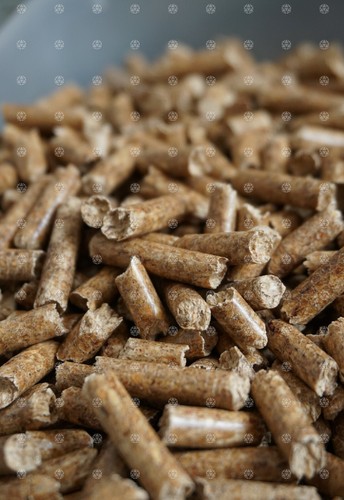 Oak hardwood sawdust for - oak,