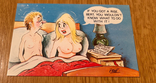 Vintage saucy comic postcard - vintage,