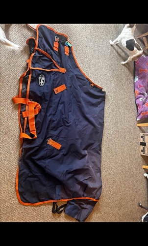 Gallop navy orange turnout - navy, &