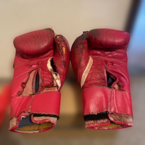 Winning boxing gloves - gloves, 8oz