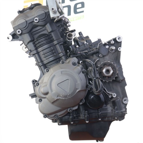 2021 triumph speed - triumph, triple