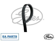 V-Ribbed Belts for FORD USA
