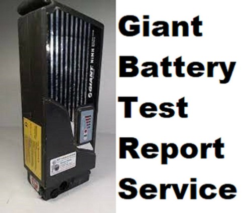 Giant electric bike battery - giant,