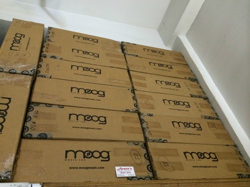 Moog minimoog voyager - moog,