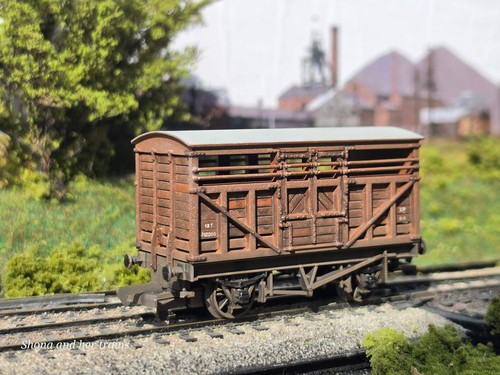 Mainline gauge cattle - mainline,