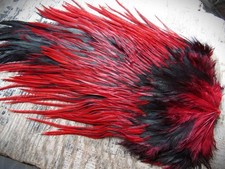 IFS Domestic Red cock badger saddle, hackle, Cape, Bumble.