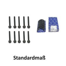 10x Main Bearing Bolt + Bearing for VW T6 T6.1 2.0 M10x95mm 12.9 CXE 04L100032L 371