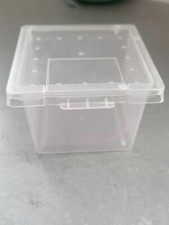 Stick Insect, Leaf Insect