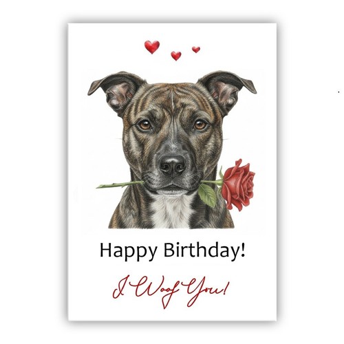 Staffordshire bull terrier - staffordshire,