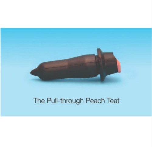Peach teats pull through - peach,
