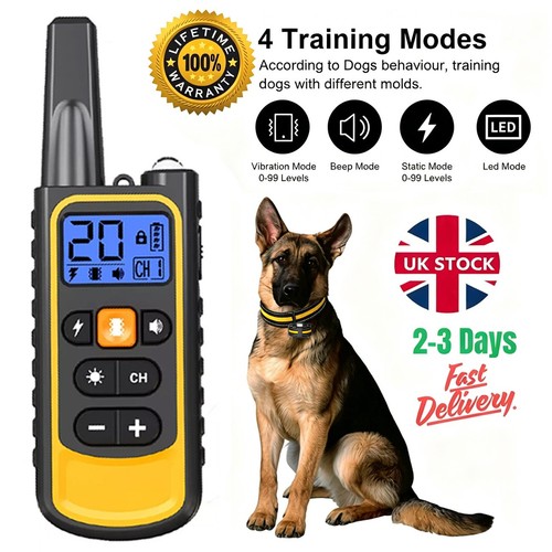 800m electric pet - 800m, dog