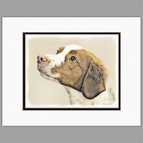 Brittany spaniel original - spaniel, art