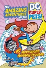 Steve Korte Metropolis Monkey