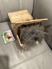 The Wizard of Oz Toto in a