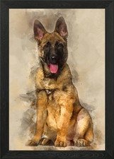 Belgian Shepherd dog 4 mon