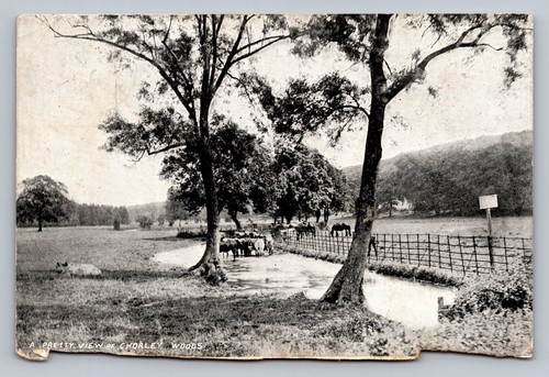 Postcard chorley woods a - chorley,