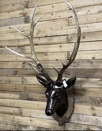 Large stag head wall - x, art