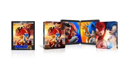 Sonic the hedgehog - hedgehog, 2