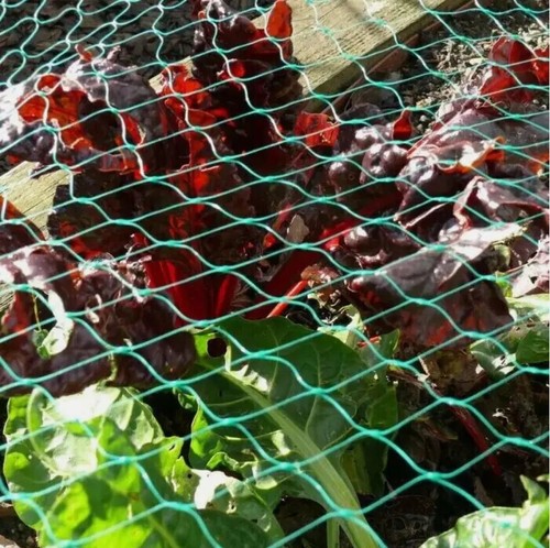 Anti bird pond net - anti-bird, netting