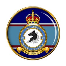 137 Squadron, RAF Pin Badge