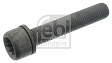 Brake Caliper Carrier Bolt
