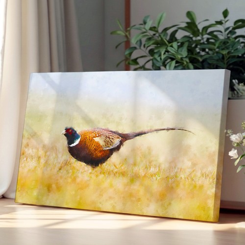 Pheasant bird canvas - pheasant, wall