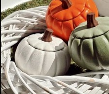 Large Pumkin Gypsam Pot with