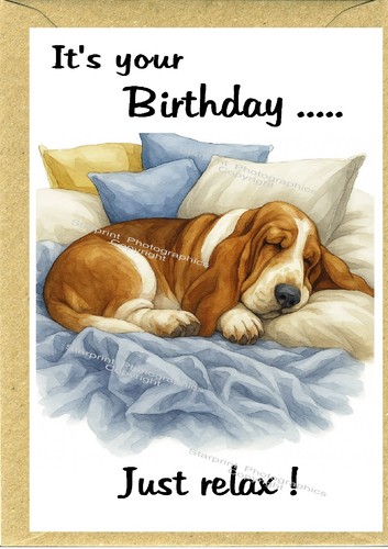 Basset hound dog birthday card - dog,