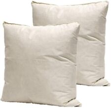 20" x 20" Inch Feather Cushion