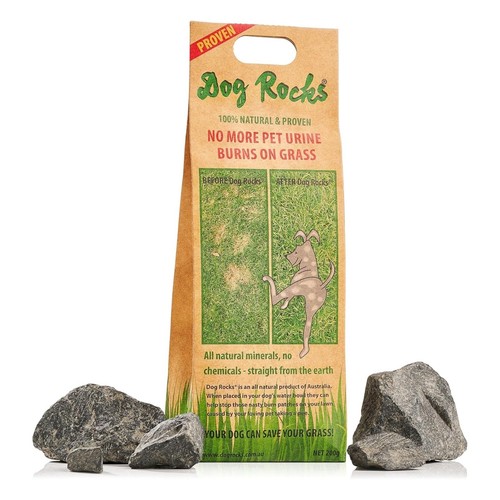 Dog rocks urine patch - dog,