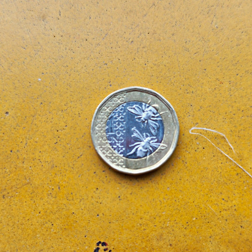 One pound coin - pound,