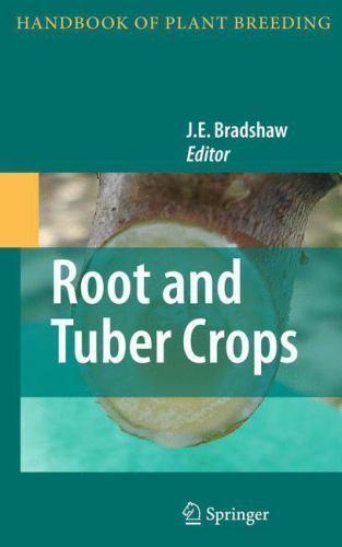Root and tuber crops - root,