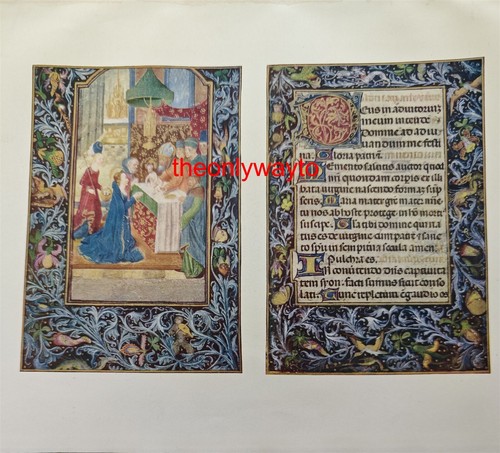 Illuminated spanish - illuminated,