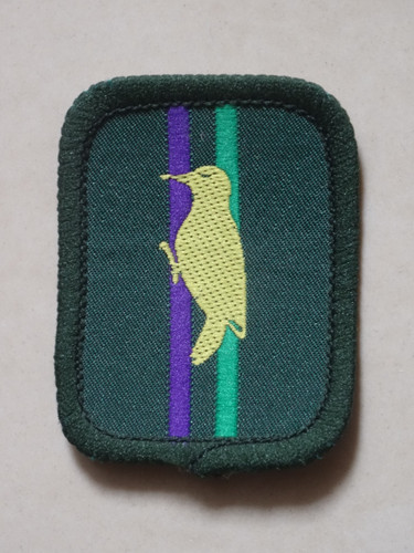 Scout patrol badge - scout,