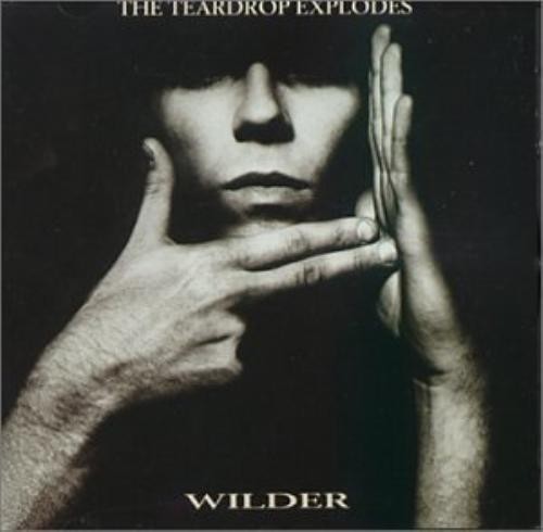 Julian cope wilder cd value - julian,
