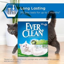 Ever Clean Extra Strong
