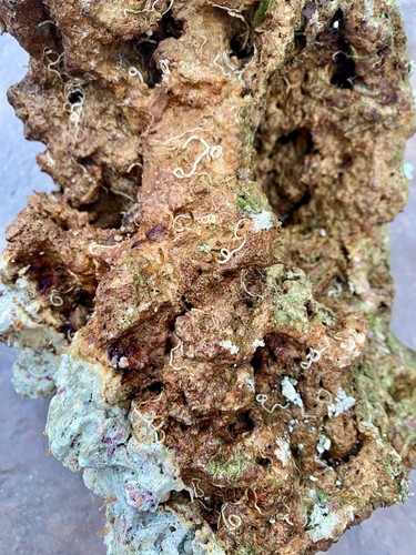 Lbs cured fiji live rock - 10,