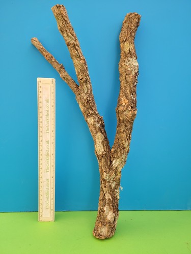 Cork bark branch 46cm snake - bark,