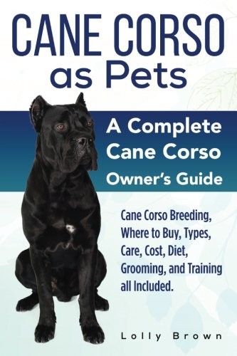 Cane corso pets - cane,